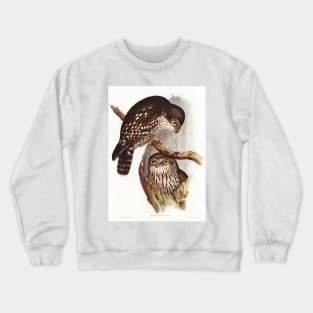 Winking Owl (Athene connivers) Crewneck Sweatshirt